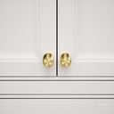 Dali Fluted Brushed Gold Furniture Knobs