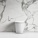 Intellismart Back To Wall Rimless Toilet Bidet & Soft Close Seat