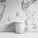 Intellismart Back To Wall Rimless Toilet Bidet Concealed Cistern and Polished Nickel Flush Plate
