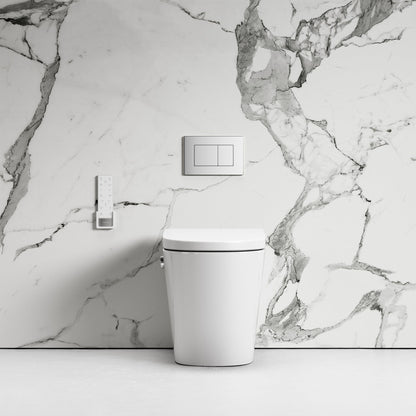 Intellismart Back To Wall Rimless Toilet Bidet Concealed Cistern and Polished Nickel Flush Plate