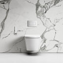 Intellismart Wall Hung Rimless Toilet Bidet Concealed Cistern Frame and Polished Nickel Flush Plate