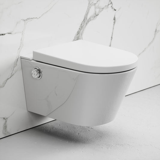 Intellismart Wall Hung Rimless Toilet Bidet Concealed Cistern Frame and Polished Nickel Flush Plate
