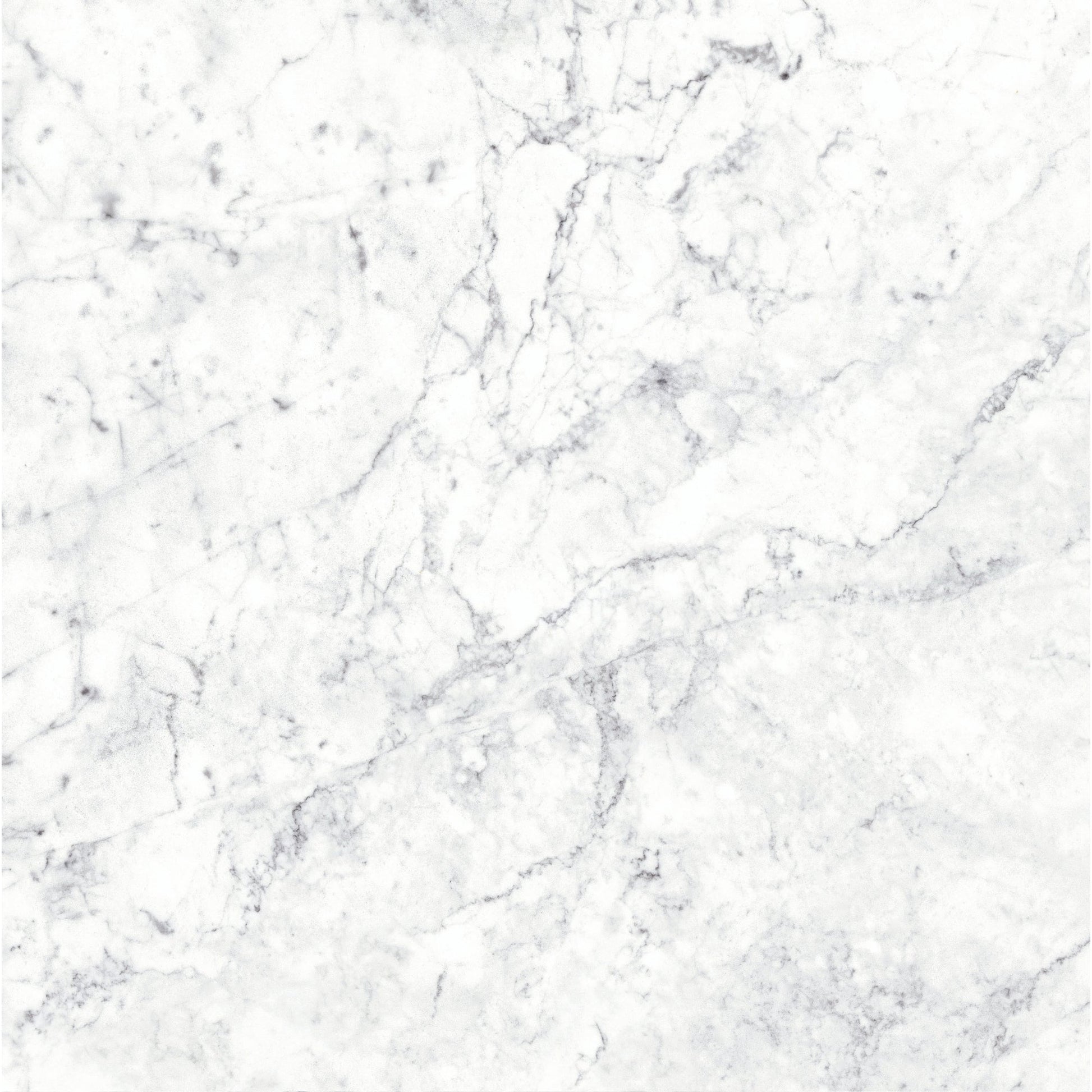Massa Bianco Carrara Marble Porcelain Wall or Floor Tile 600 x 600mm