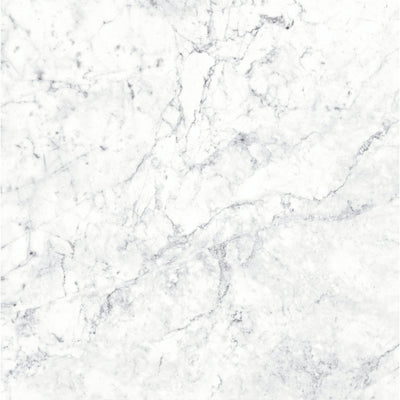 Massa Bianco Carrara Marble Porcelain Wall or Floor Tile 600 x 600mm