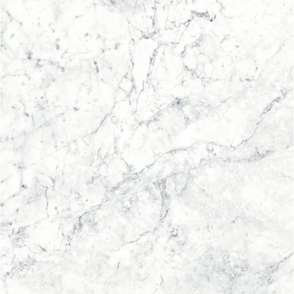 Massa Bianco Carrara Marble Porcelain Wall or Floor Tile 600 x 600mm