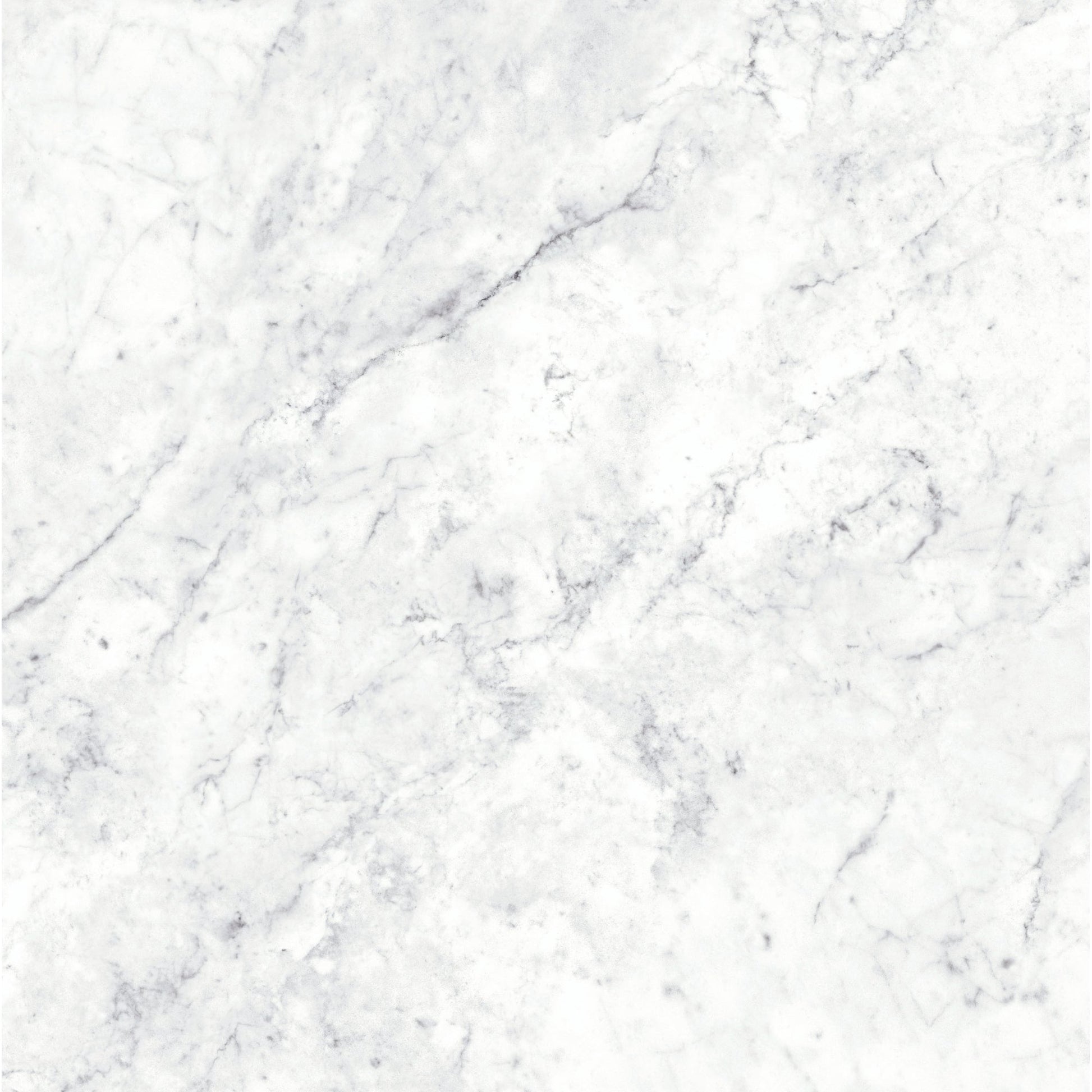 Massa Bianco Carrara Marble Porcelain Wall or Floor Tile 600 x 600mm