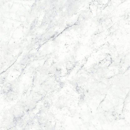 Massa Bianco Carrara Marble Porcelain Wall or Floor Tile 600 x 600mm