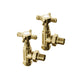 Mulberry Brushed Gold Angled Radiator Valves (Pair)