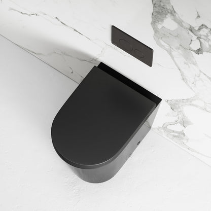 Nera Matte Black Back to Wall Toilet with Concealed Cistern Frame and Round Flush Plate