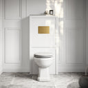 Portland Back To Wall Traditional Toilet with Solid Oak Matte White Seat, Concealed Cistern, Round Flush Plate and Claridge Matte White WC Housing