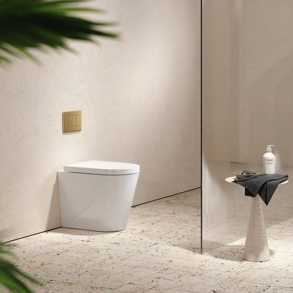 Senza Back To Wall Rimless Toilet with Concealed Cistern and Brushed Gold Flush Plate