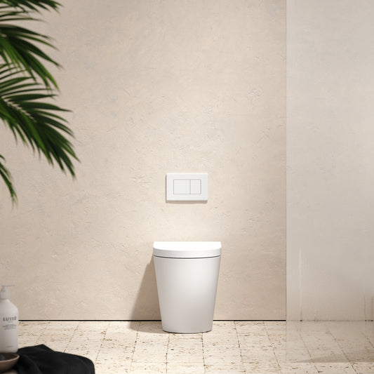 Senza Back To Wall Rimless Toilet with Concealed Cistern and Matte White Flush Plate
