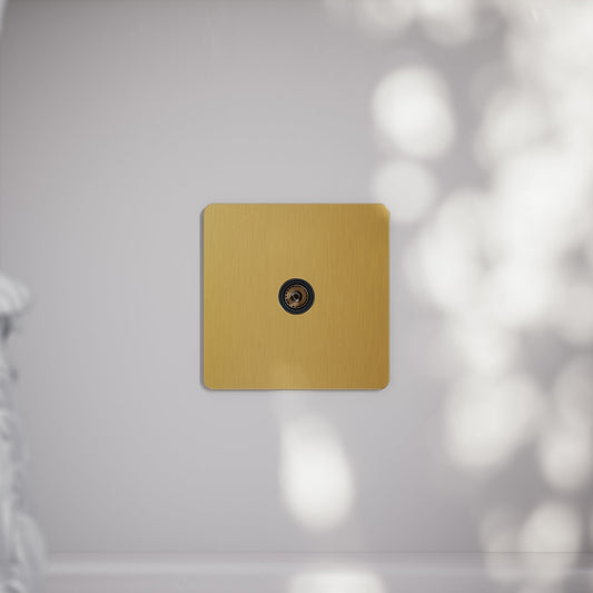 SlimTech Collection Brushed Gold TV Aerial Socket