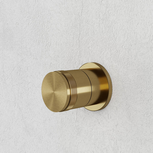 Urban Brushed Gold Shower System