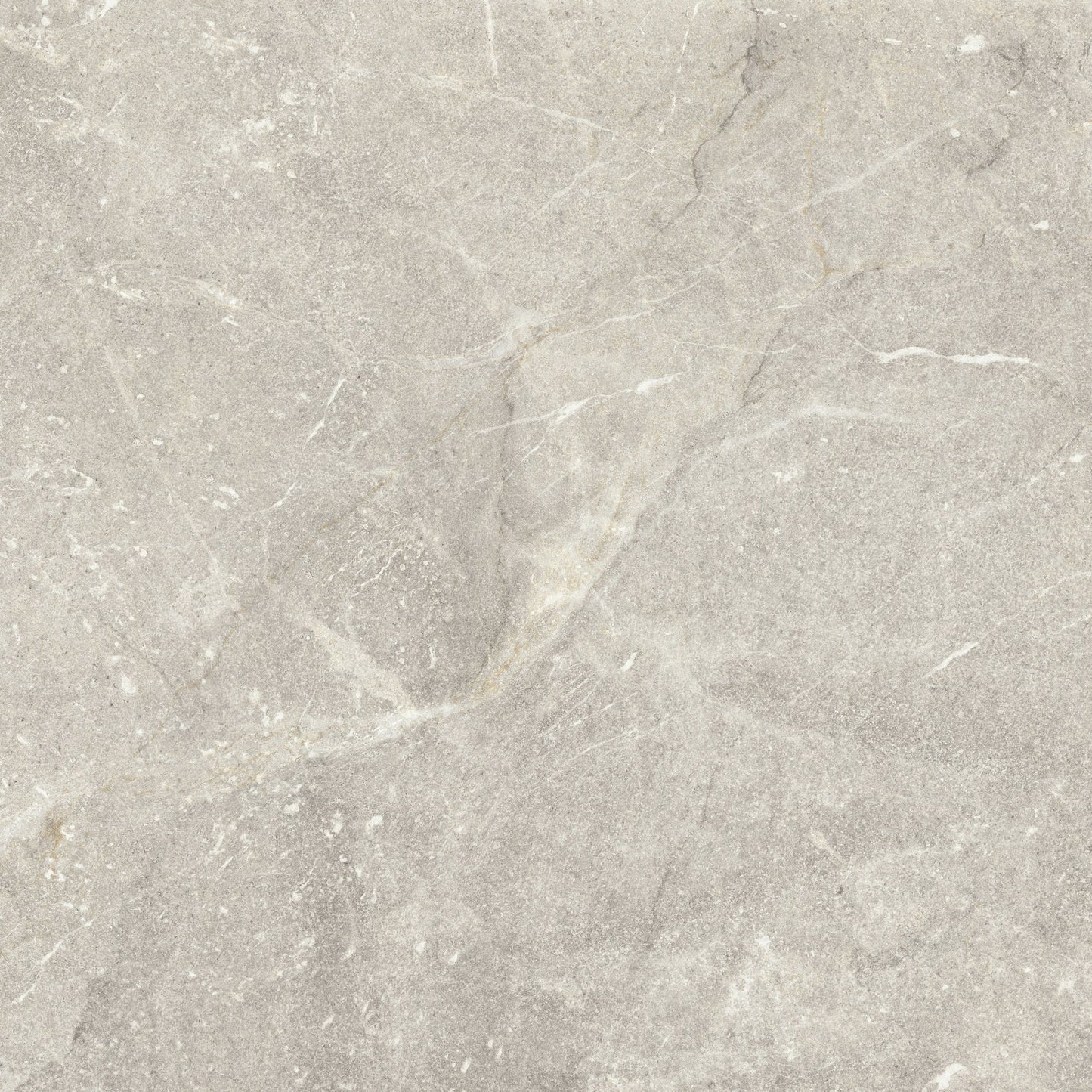 Vittorio Argento Limestone Porcelain Sample