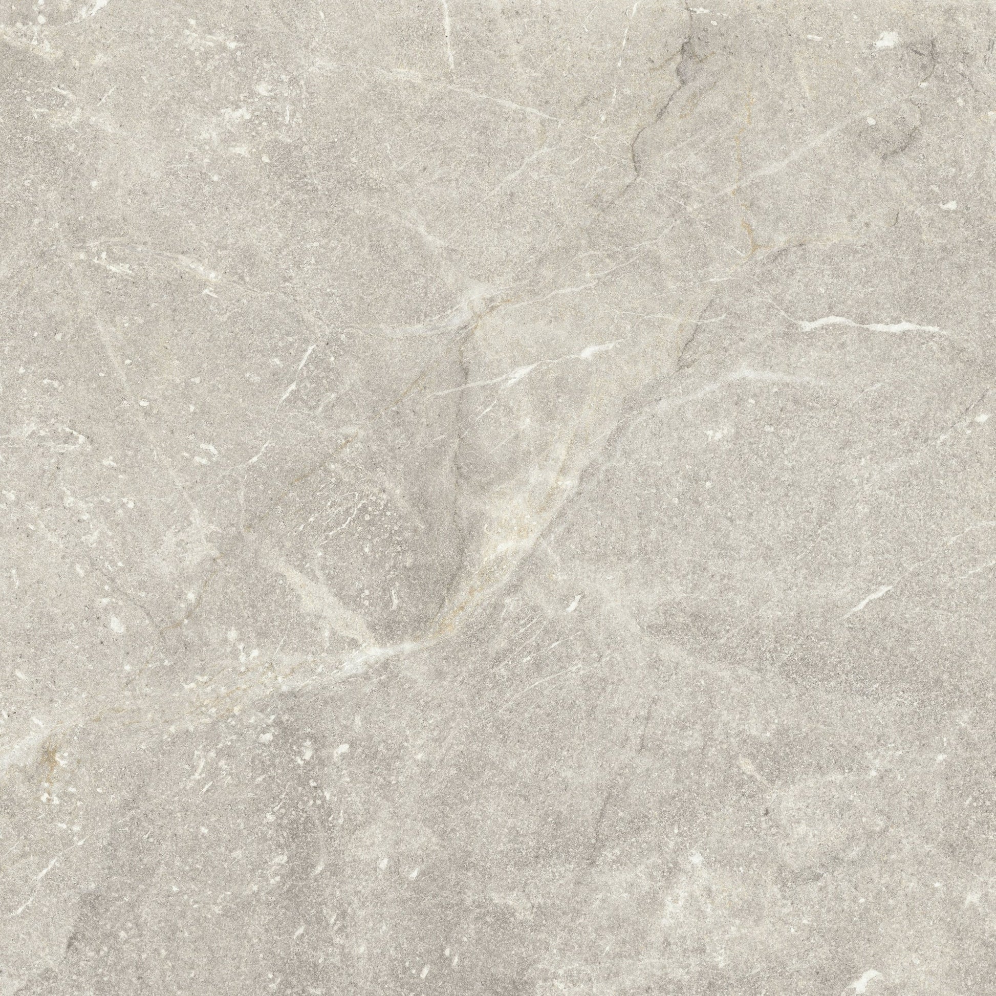 Vittorio Argento Limestone Porcelain Sample