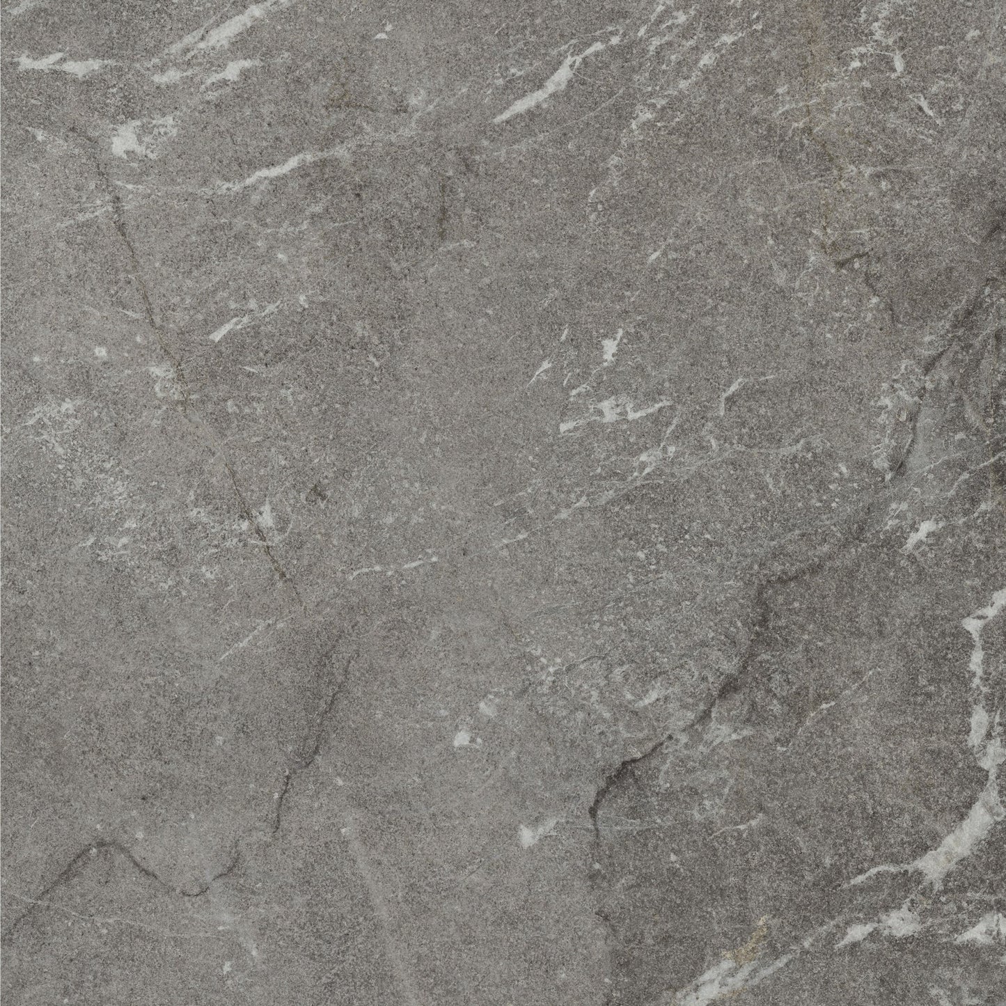 Vittorio Grigio Limestone Porcelain Sample