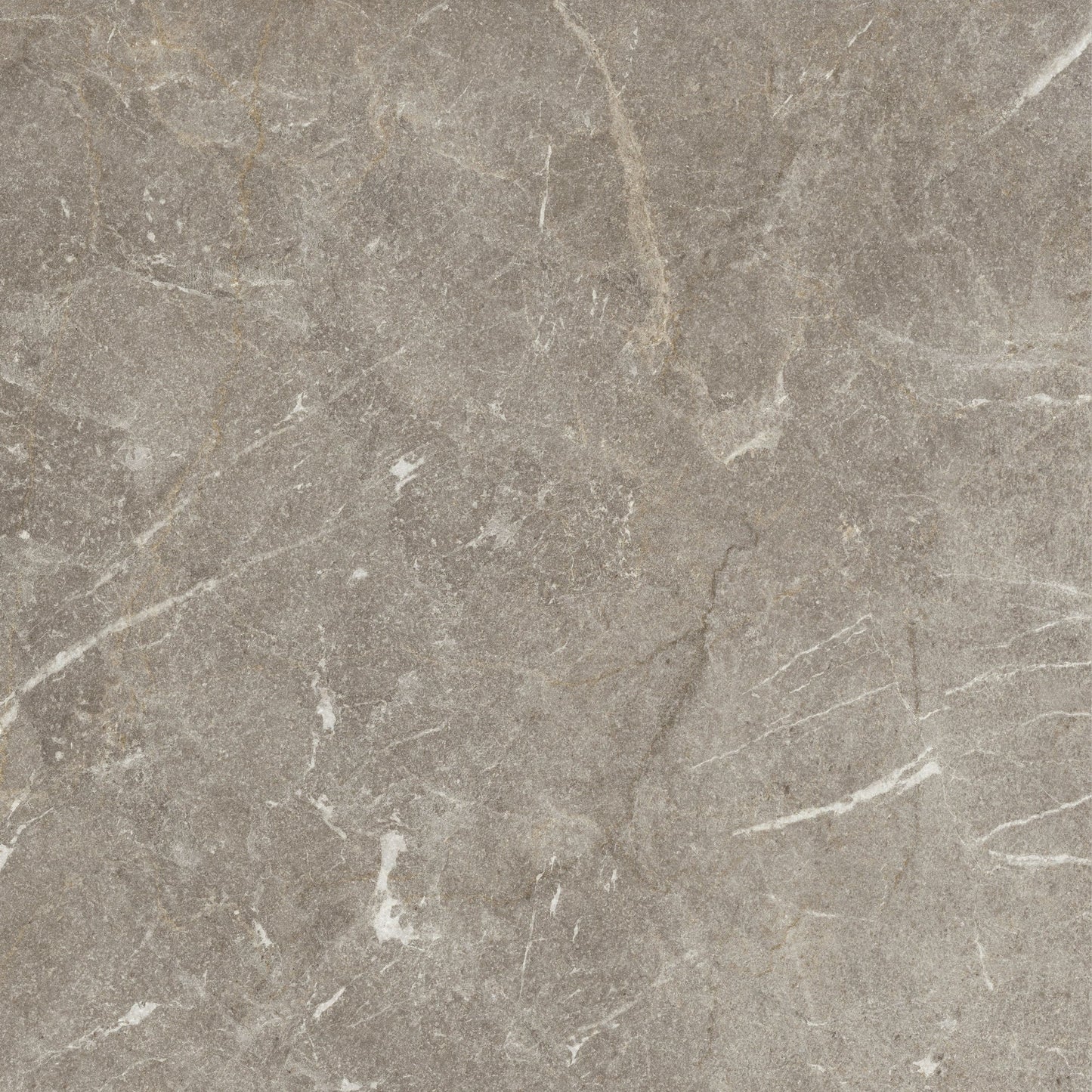Vittorio Taupe Limestone Porcelain Sample