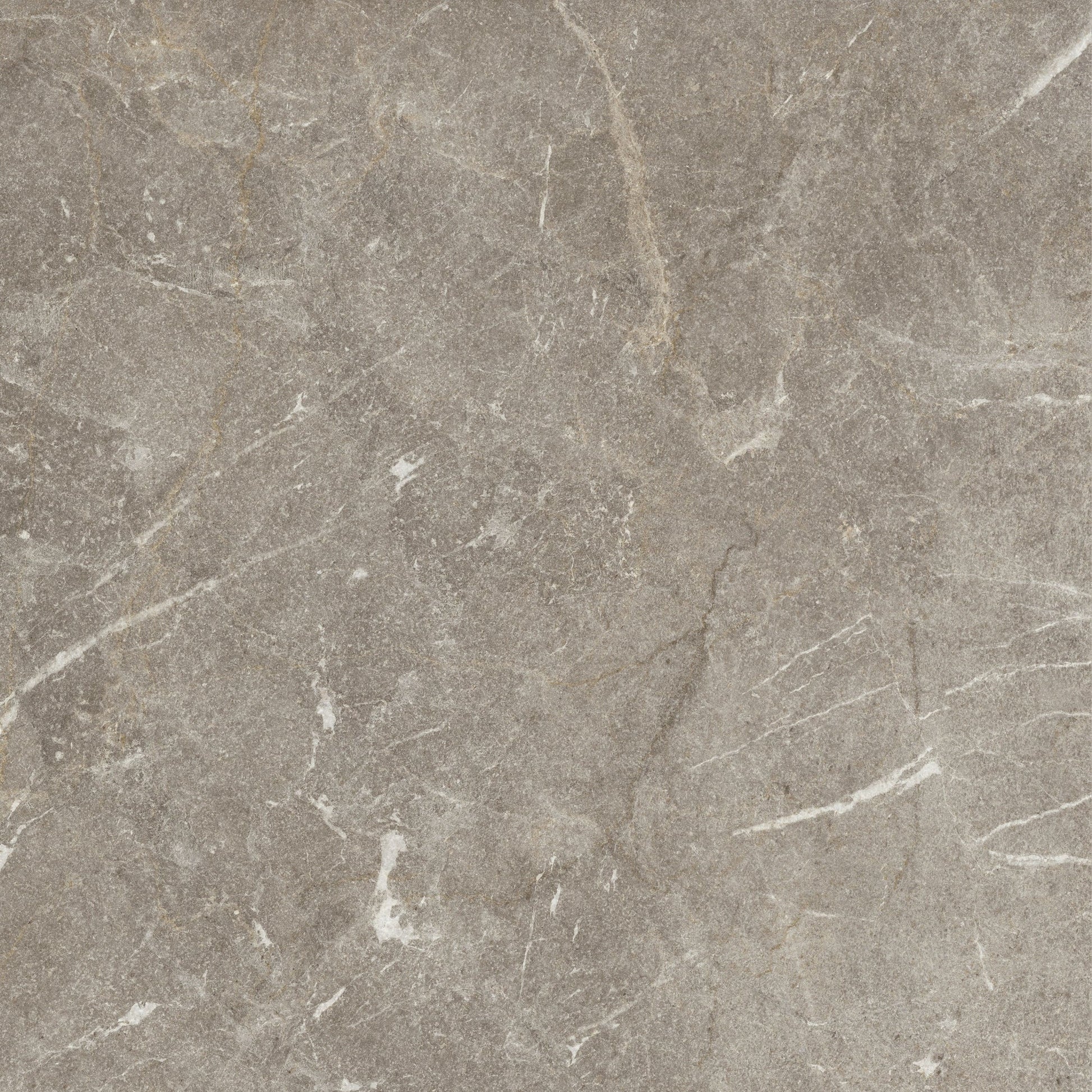 Vittorio Taupe Limestone Porcelain Sample